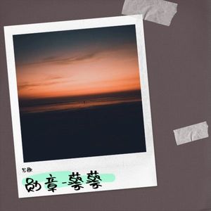 勋章-蔡蔡-写歌