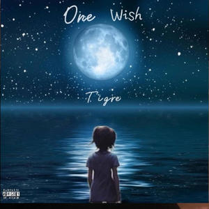 One wish (Explicit)