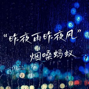 昨夜雨昨夜风 (男版)
