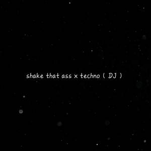 shake that ass x techno (DJ版)