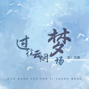 过往云烟一场梦 (DJ可乐版)