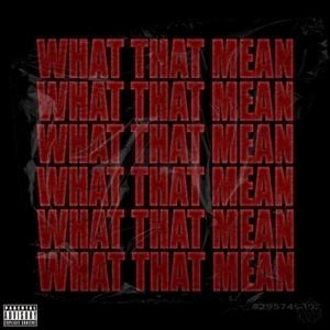 WHAT THAT MEAN (Explicit)