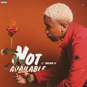 Not Available (feat. Okenio M) [Explicit]