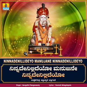 Ninnadenillideyo Manujane Ninnadenillideyo - Single