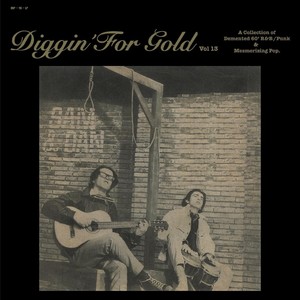 Diggin' For Gold, Vol. 13