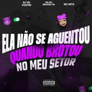 ELA NÃO SE AGUENTOU QUANDO BROTOU NO MEU SETOR (Explicit)
