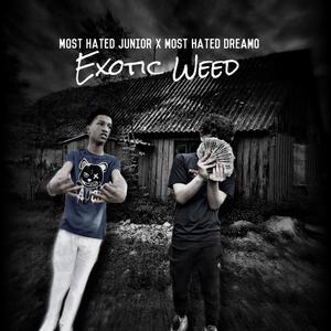 Exotic **** (feat. Most Hated Dreamo) [Explicit]