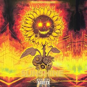 SUNSHINE (feat. visionary.void) (Explicit)