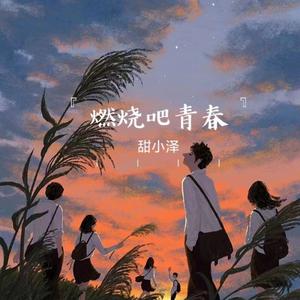 燃烧吧青春封面