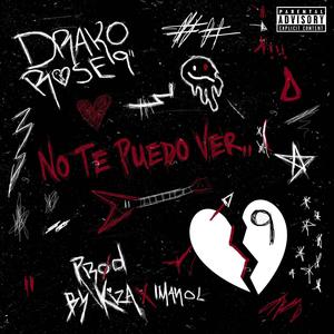 No Te Puedo Ver (Explicit)