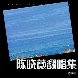 陈晓薇 - 我太笨 (Live)