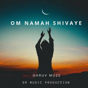 Om Namah shivaye 2.0