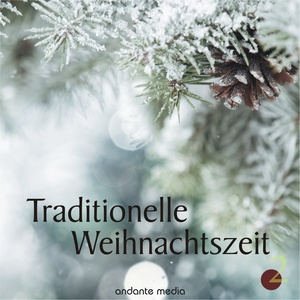 Traditionelle Weihnachtszeit, Vol. 2