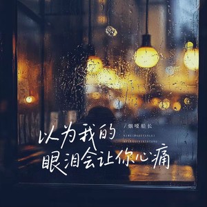 以为我的眼泪会让你心痛 (阿尼律动版)