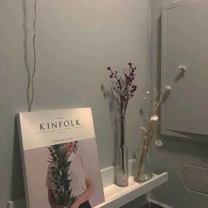 cubi - BINGBIAN病变 (紫薇同学 remix)