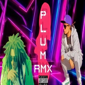 Plum RMX (feat. Bazooka Jun) [Explicit]