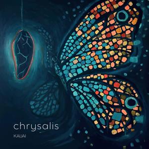 dark matter (portal)