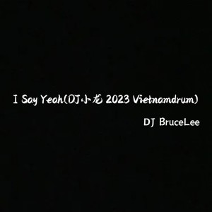 I Say Yeah (DJ BruceLee remix|Remix)