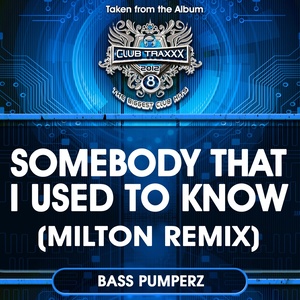 Somebody That I Used to Know (Milton Remix)