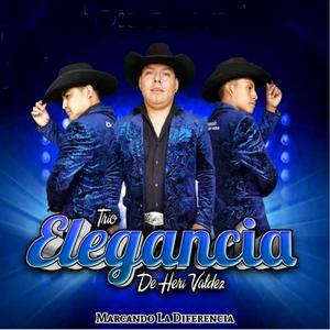 Por Mis Mentiras(Trio Elegancia de Herí Valdez)