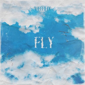 FLY (Explicit)