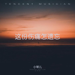 这份伤痛怎遗忘