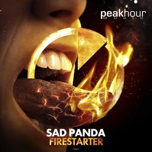 Firestarter (Radio Edit)