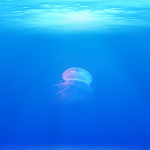 第三章 我在水底