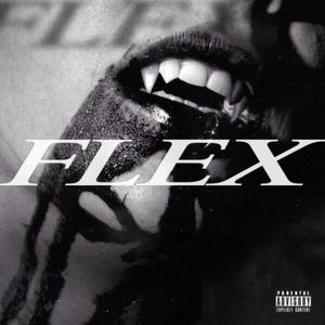 FLEX! (Explicit)