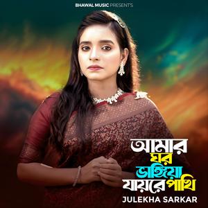 আমার ঘর ভাঙ্গিয়া যায়রে পাখি (TikTok Version 4)