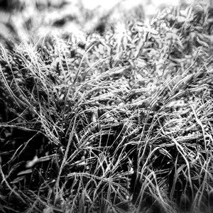 HomeSeq (Azu Tiwaline Rework)