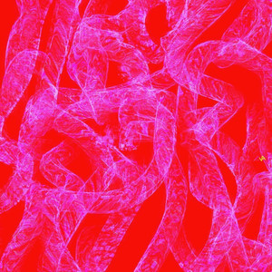 Shine Shine Bobo (feat. edwxn, Dara Dyce, Stanleymillkillz & Panky Piper)