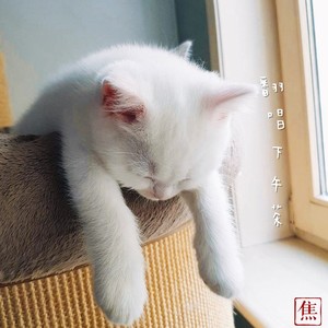 讲道理的是知己