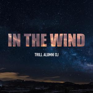 In The Wind (Explicit)