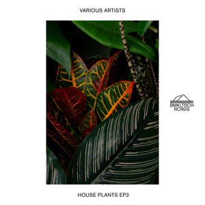 House Plants 2 - EP (Extended)