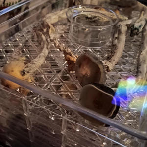 Please Dont Give Up (Explicit)