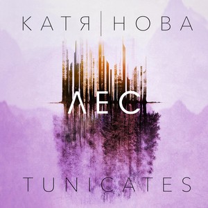 Ты где-то рядом