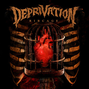 Crystal Clear(I See You)