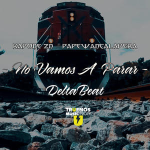 NO VAMOS A PARAR (feat. Papewancalavera & Delta Beat) (Explicit)