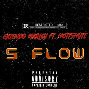 5 Flow (Explicit)