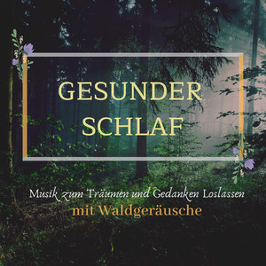 Gesunder Schlaf: Musik zum Träumen und Gedanken Loslassen mit Waldgeräusche