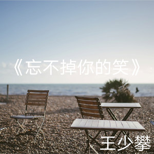 忘不掉你的笑
