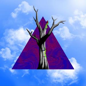 (A.C.M) Alberi Coi Microchip (Explicit)