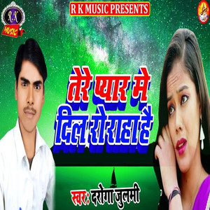 Tere Pyar Mein Dil Ro Raha Hai