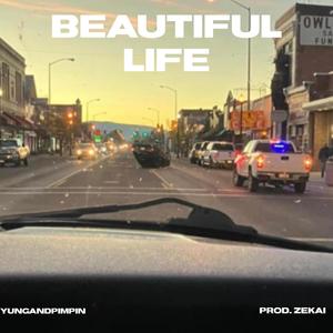 Beautiful Life