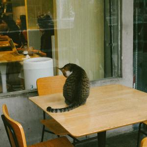 I Had A Friend