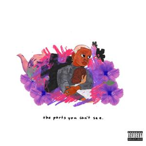 the parts you can't see (Explicit)