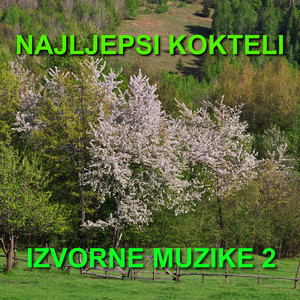 Najljepsi Kokteli Izvorne Muzike 2