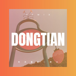 冬天里的一把火 (DJ弹鼓版)