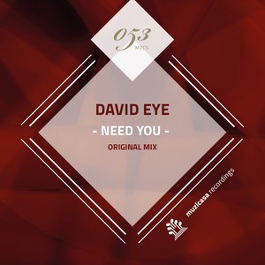 Need You (Original Mix)